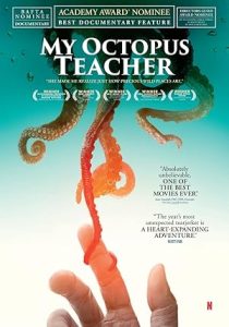 My Octopus Teacher 2020