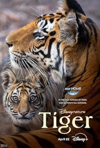 Tiger 2024