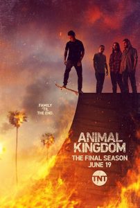 Animal Kingdom 2016