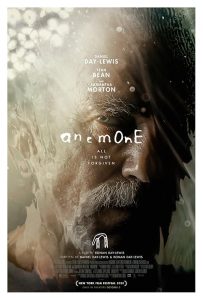 Anemone 2025 شقایق