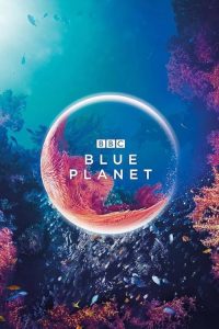 The Blue Planet 2001 سیاره آبی