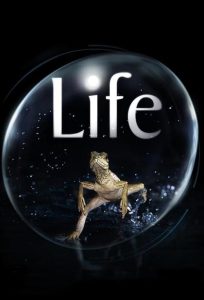 Life 2009 زندگی