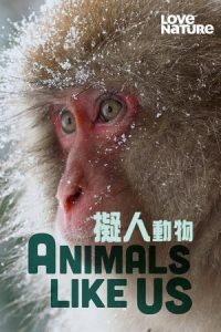 Animals Like Us 2024 حیوانات شبیه ما