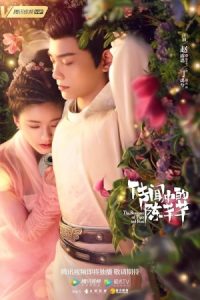 The Romance of Tiger and Rose 2020 عاشقانه ببر و گل رز