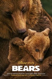 Bears 2014 خرس ها
