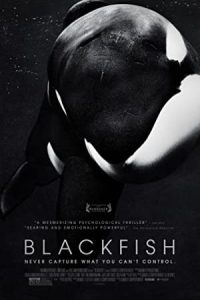 Blackfish 2013 ماهی سیاه