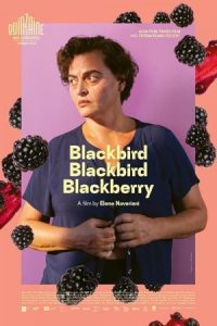 Blackbird Blackbird Blackberry 2023 پرنده سیاه پرنده تنها