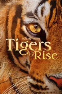 Tigers on the Rise 2024 ببرهای در حال ظهور
