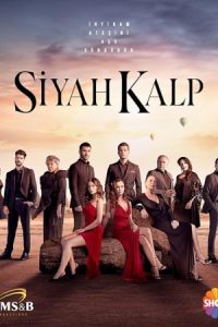 Siyah Kalp 2024 قلب سیاه