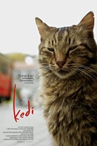 Kedi 2016 گربه