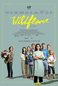 Wildflower 2022 گل وحشی