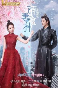 Cinderella Chef 2018 آشپز سیندرلا