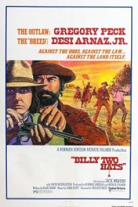 Billy Two Hats 1974 بیلی دو کلاهه
