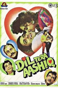 Dil Tera Aashiq 1993 دل عاشق توست