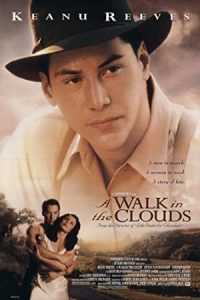 A Walk in the Clouds 1995 راه رفتن روی ابرها