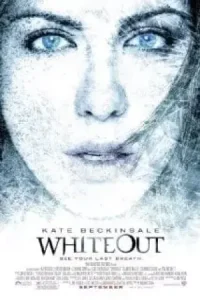 Whiteout 2009 عدم تشخیص موقعیت
