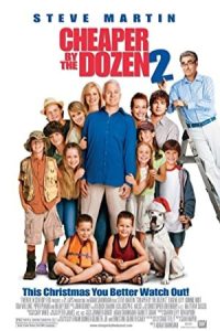 Cheaper by the Dozen 2 2005 دوجینش ارزان‌تر است 2