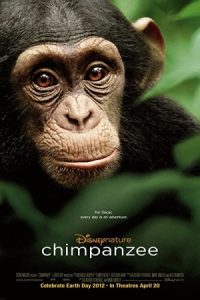 Chimpanzee 2012 شامپانزه