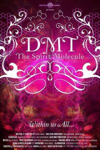 DMT: The Spirit Molecule 2010 دی ام تی: مولکول روح