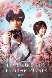 Love Like the Falling Petals 2022 عشقی مثل گلبرگ های در حال ریزش