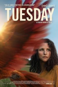 Tuesday 2023 سه شنبه
