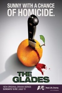 The Glades 2010 گلیدس