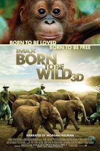 Born to Be Wild 2011 وحشی متولد شد
