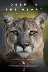 Deep in the Heart: A Texas Wildlife Story 2022 اعماق قلب: داستان حیات وحش تگزاس