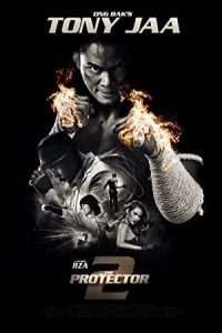 The Protector 2 2013 محافظ ۲