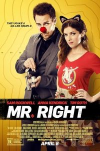 Mr. Right 2015 آقای مطلوب