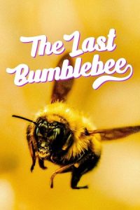 The Last Bumblebee 2024 آخرین زنبور عسل