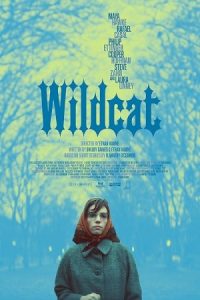 Wildcat 2023 گربه وحشی
