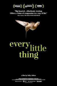 Every Little Thing 2024 هر چیز کوچک