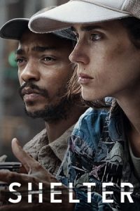 Shelter 2014 پناهگاه
