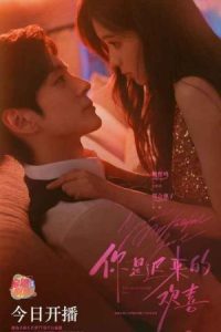 You Are My Fateful Love 2026 تو عشق سرنوشت ساز منی