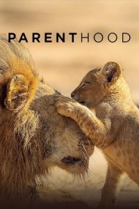 Parenthood 2025 والدین بودن