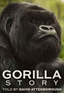 A Gorilla Story Told by David Attenborough 2026 داستان یک گوریل به روایت دیوید اتنبرو