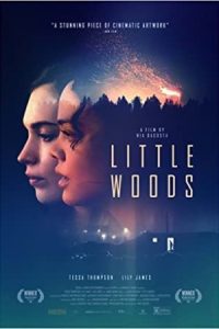 Little Woods 2018 جنگل کوچک