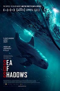 Sea of Shadows 2019 دریای سایه ها