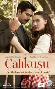 Calikusu - Lovebird 2013 چکاوک