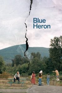 Blue Heron 2025 حواصیل آبی