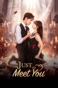 Just To Meet You 2026 فقط برای دیدن تو