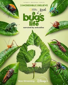 A Real Bugs Life 2024 زندگی واقعی یک حشره