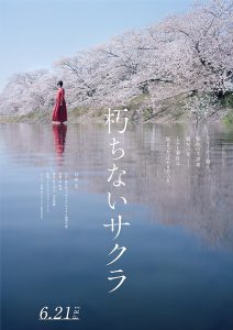 Sakura 2024 ساکورا