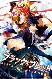 Black Bullet 2014 گلوله سیاه