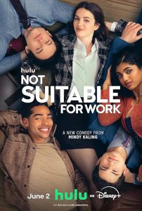 Not Suitable for Work 2026 مسائل غیرحرفه ای