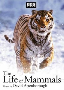 The Life of Mammals 2002 زندگی پستانداران