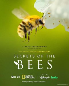 رازهای زنبورها
 Secrets of the Bees 2026
