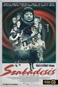 سقوط آزاد Free Fall 2014